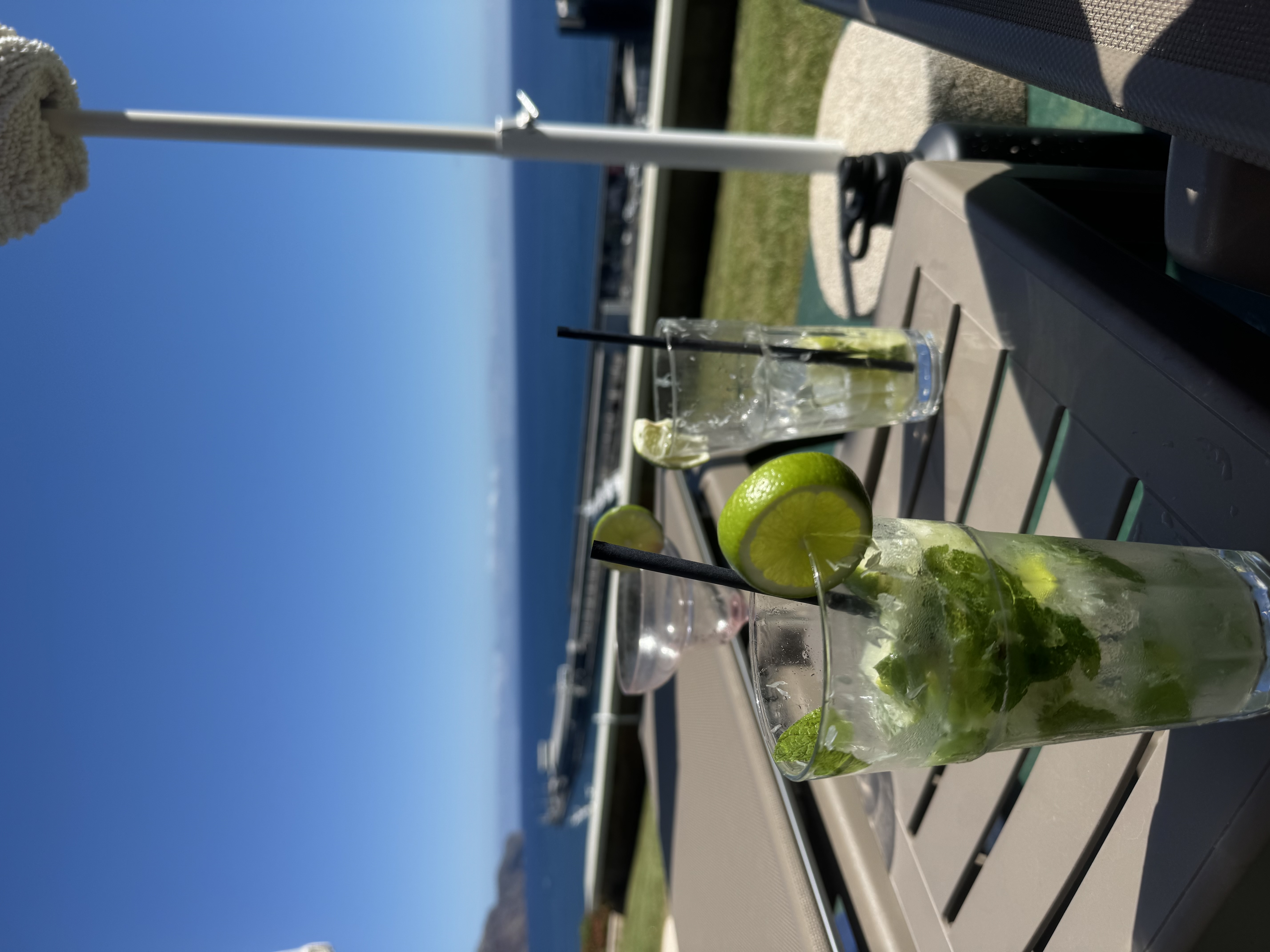Just a couple Mojitos for hydration purposes 
