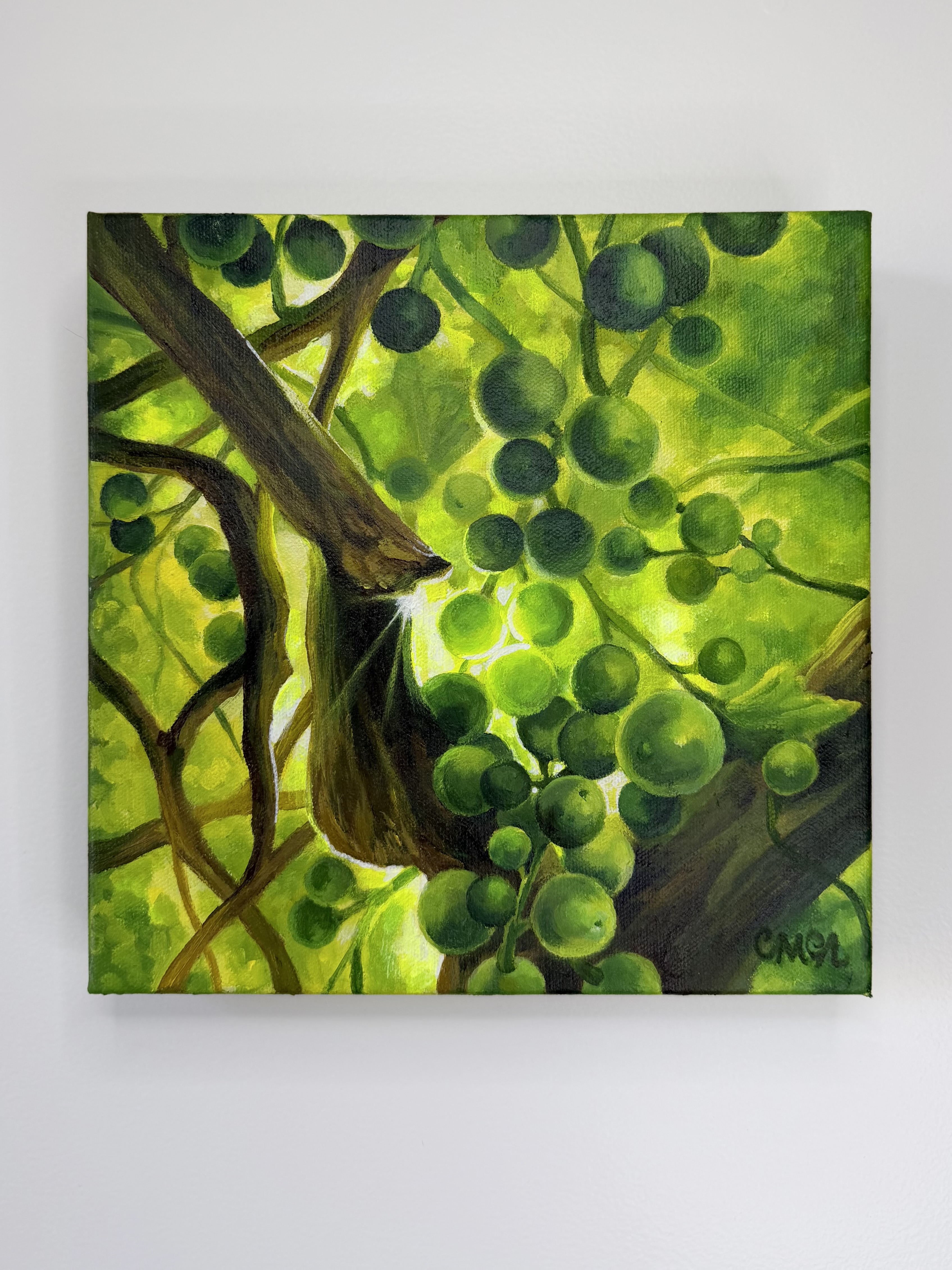 Avo's Grapes 