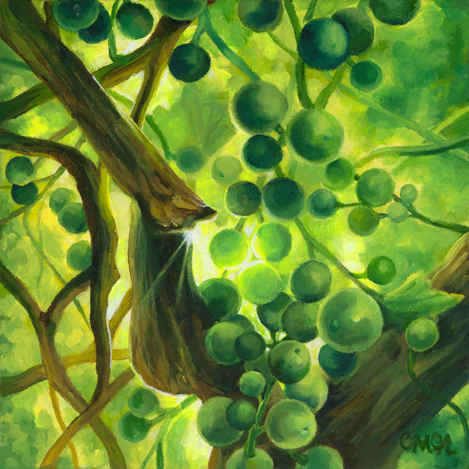 10" x 10" Avo's Grapes PRINT 