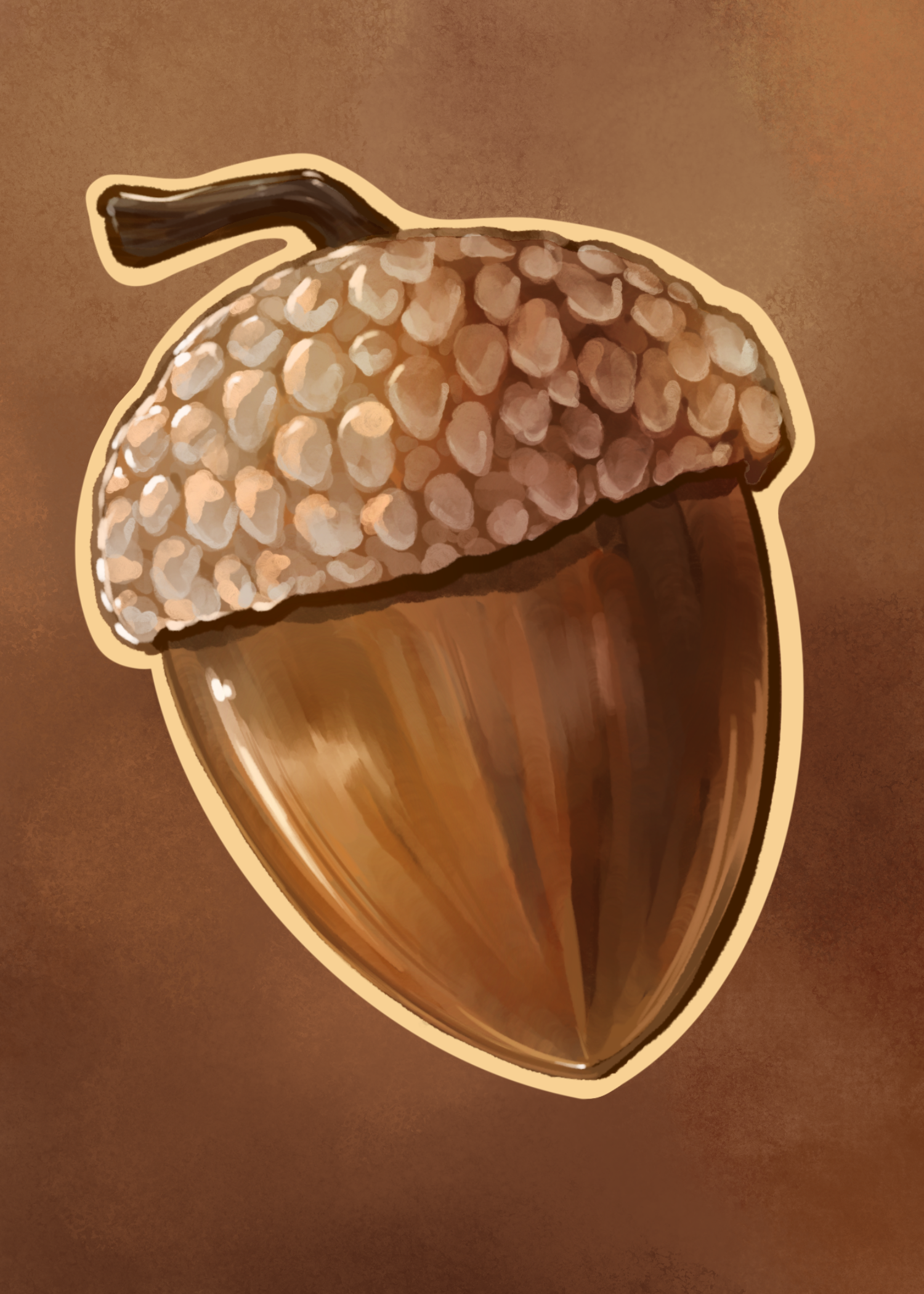 Acorn 